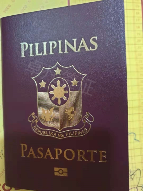 菲律宾护照怎么办