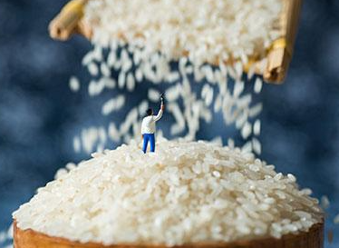 菲律宾参众两院姑息大米关税法修改案抵达协议