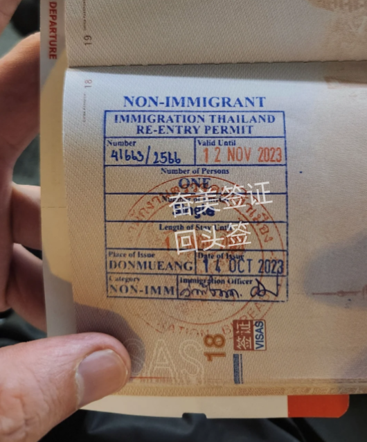 在泰国的侨民回中国要办什么签证（回头签办理材料）