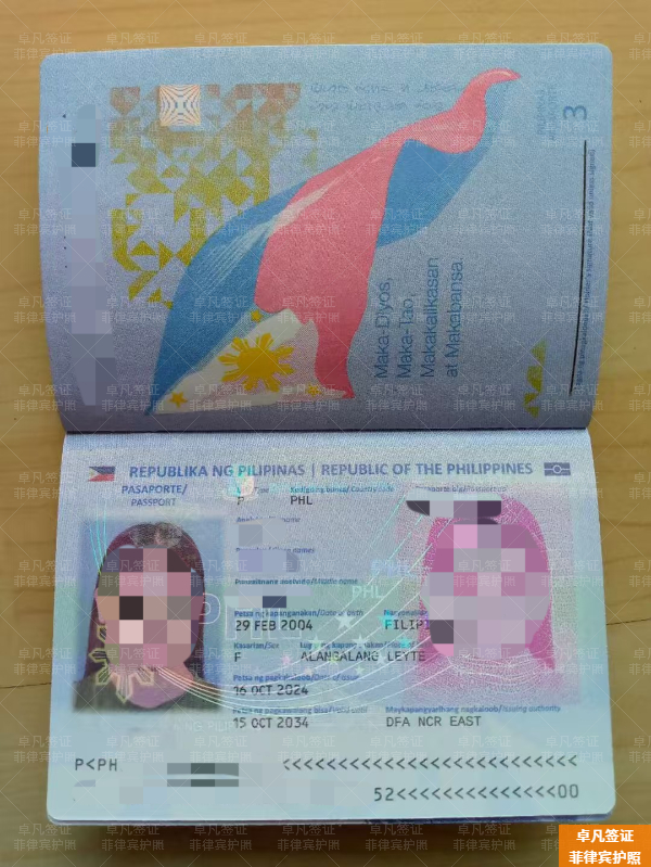 入籍菲律宾能保留原国籍吗(有哪些流程)