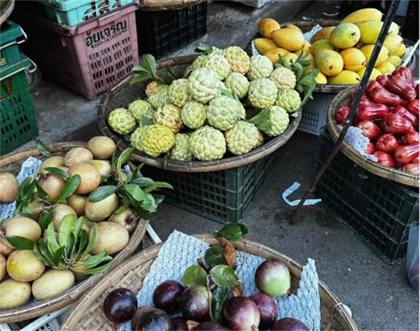越南昆嵩特产渠道有哪些(特产是什么)