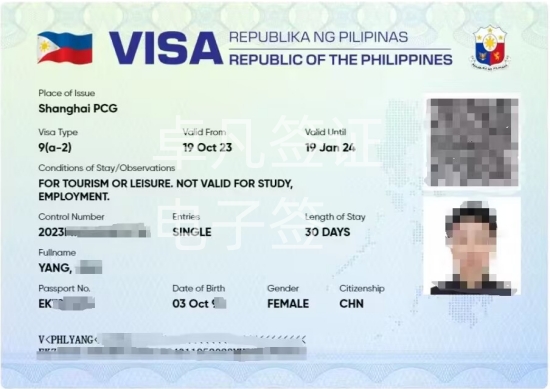 最新菲律宾电子签（电子签材料）