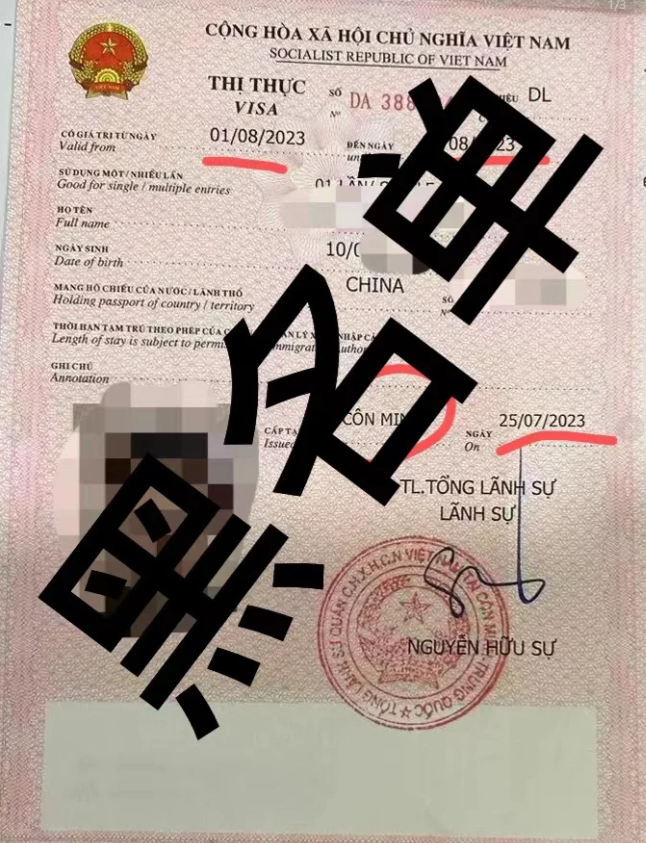 越南签证黑名单公布（越南黑名单是什么）
