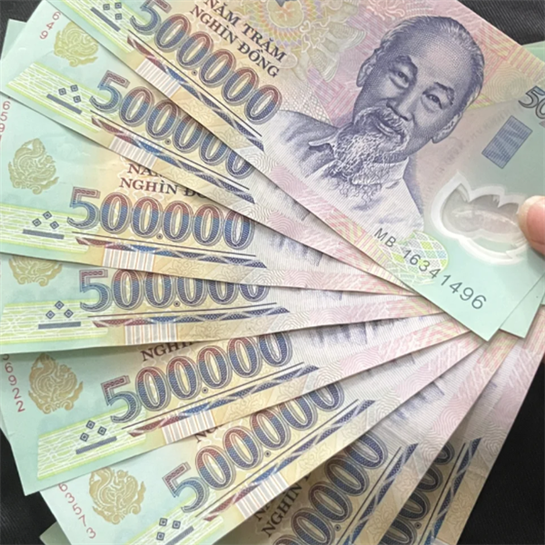 越南币最大面额是多少(10万可以做什么)