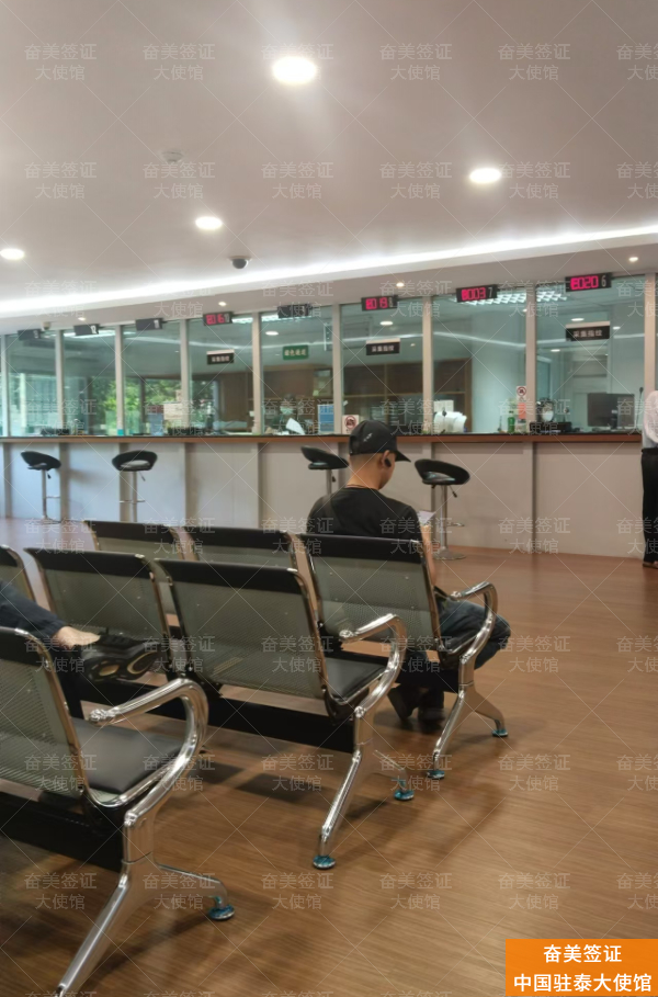 泰国护照过期换发协助：专业指南助您顺利更新证件