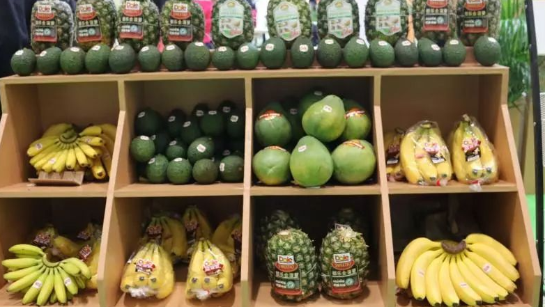 菲律宾邀捷克投资者投资农产品