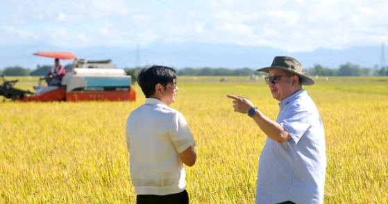 菲律宾大幅下调进口大米关税缓解民众经济压力