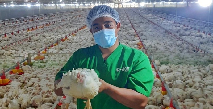 菲律宾：快乐蜂鸡肉供应厂利润激增150%
