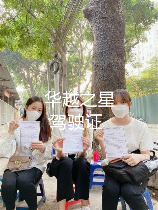 中国公民办理越南驾驶证要什么签证(手续如何呢)