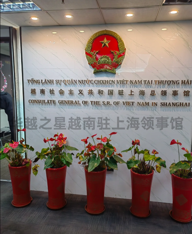 越南大使馆办旅游签证流程（越南使领馆地址）