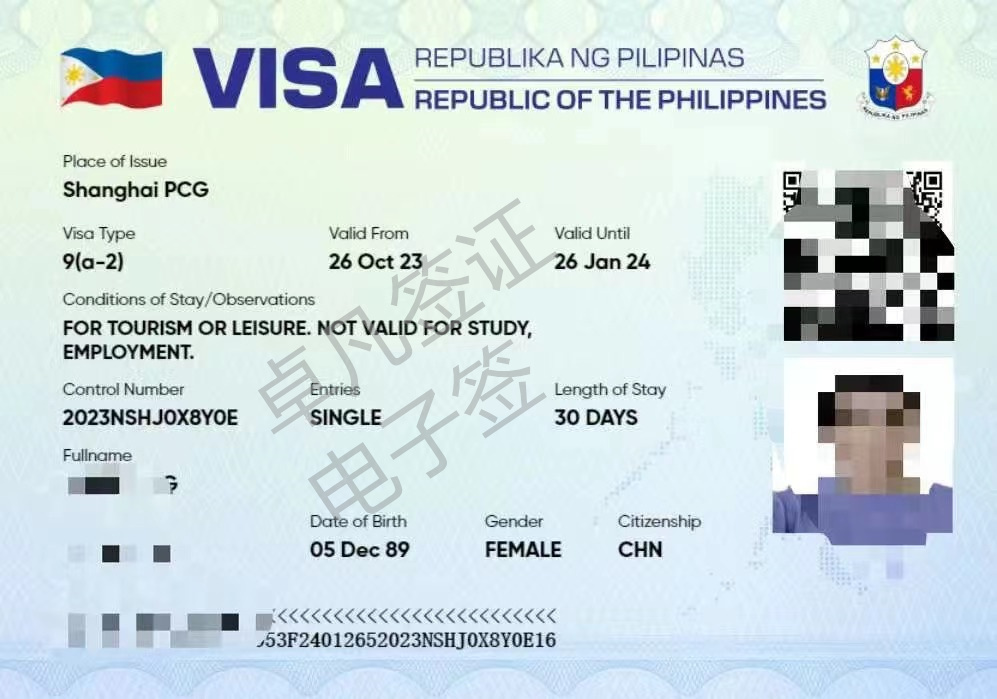 菲律宾电子签试用（电子签有效期多长）
