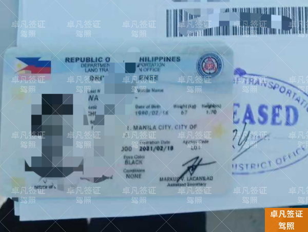 菲律宾驾照申请材料、流程及费用全解析