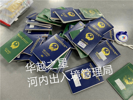 越南人申请护照流程（越南护照申请要多久）