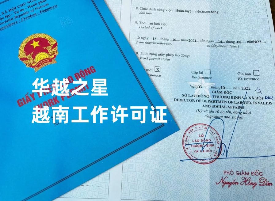 去越南打工签证要求（越南工作签证办理流程）