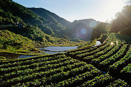 菲律宾伊富高省旅游安全吗(有什么好玩的)