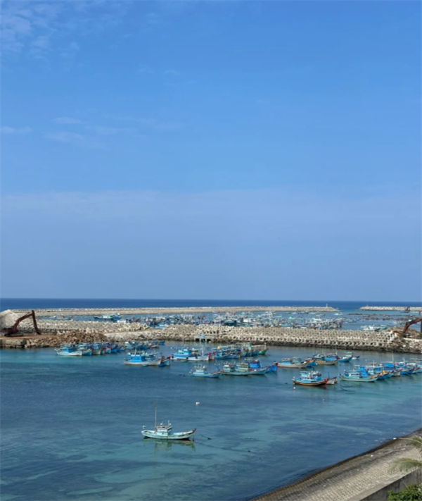 微信图片_20241030120941.png 越南平定面积现在有多少亩(主要产业有哪些)