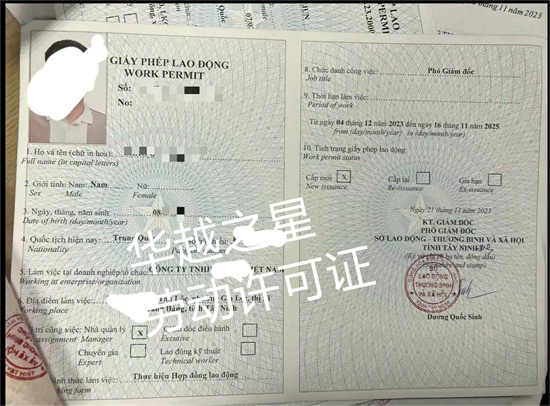 中国人去越南工作需要什么签证（中国人去越南需要劳动许可证吗）