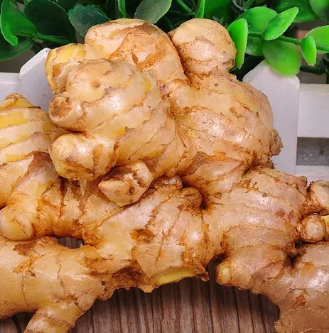 菲律宾：DA加大应对生姜价格的飙升