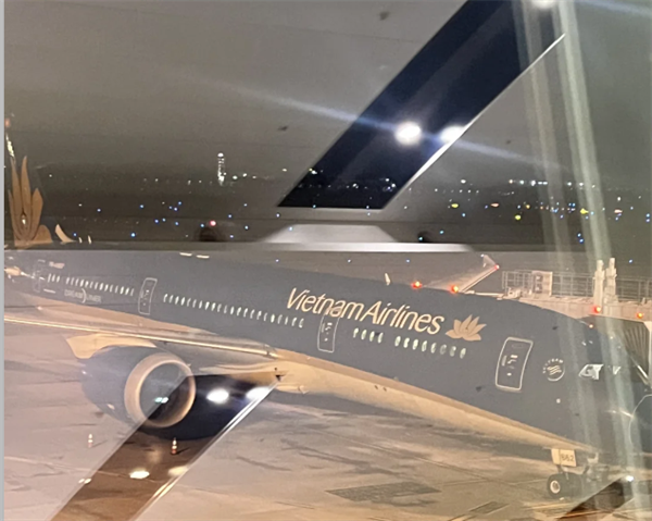 越南航空被卡要遣返回国吗(都有哪些原因)