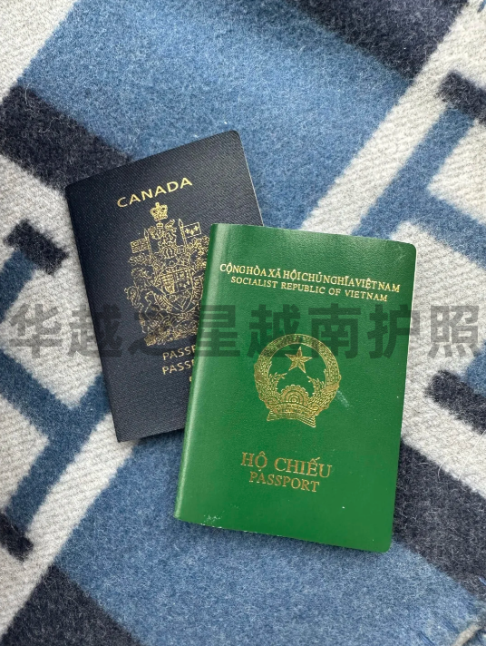 移民到越南要什么证件（移民越南条件）