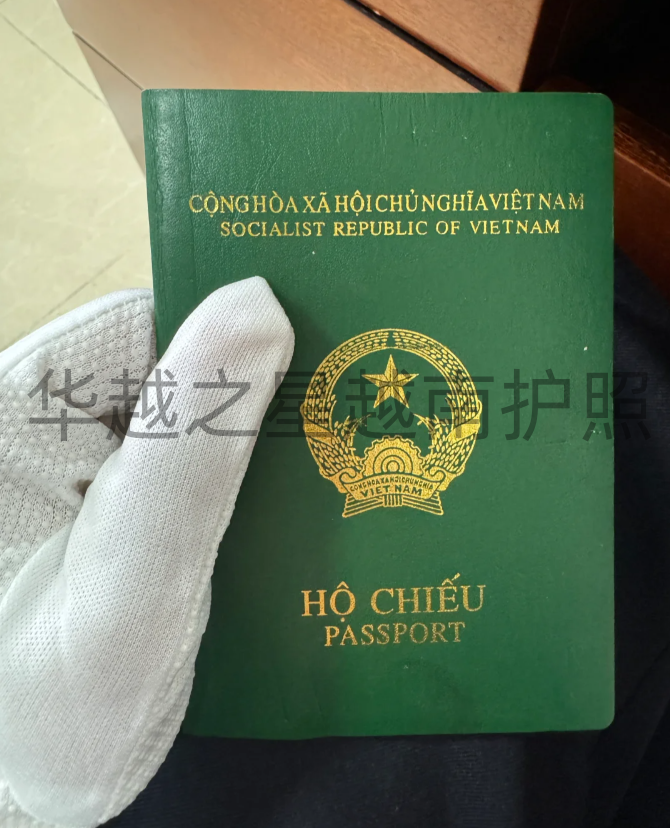 越南人补办护照的地址（越南人补办护照流程）