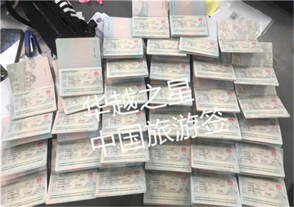 越南安江入华旅游签证申请材料汇总(在哪申请)
