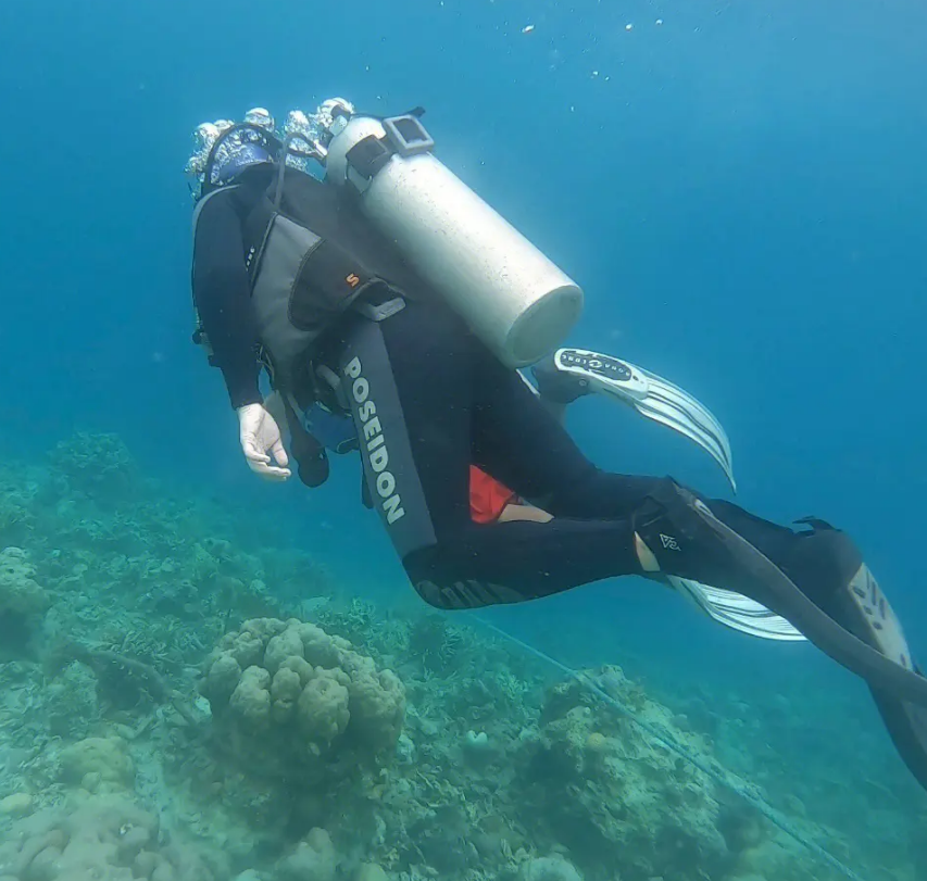 菲律宾宿务岛旅游潜水地点在哪