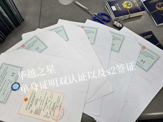 越南双认证有效期全解析：过期应对策略与专业建议