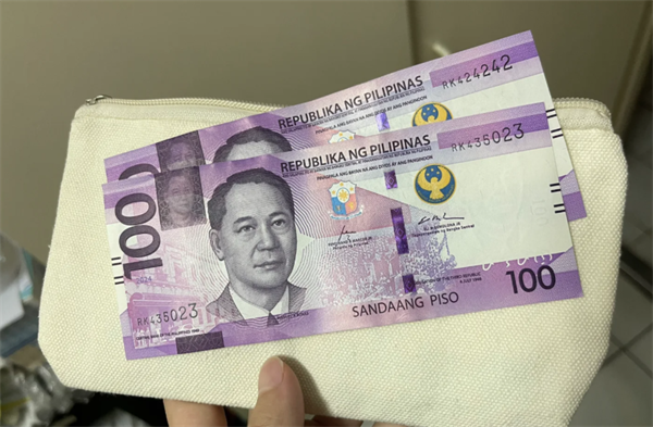 菲律宾薄荷岛能用银联吗(是否能兑换比索)