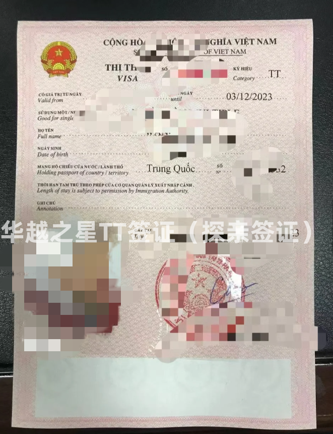越南探亲签证需要送签吗（越南TT签证办理）