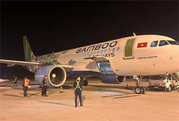 越南航空入境会不让入境吗(都有哪些理由)